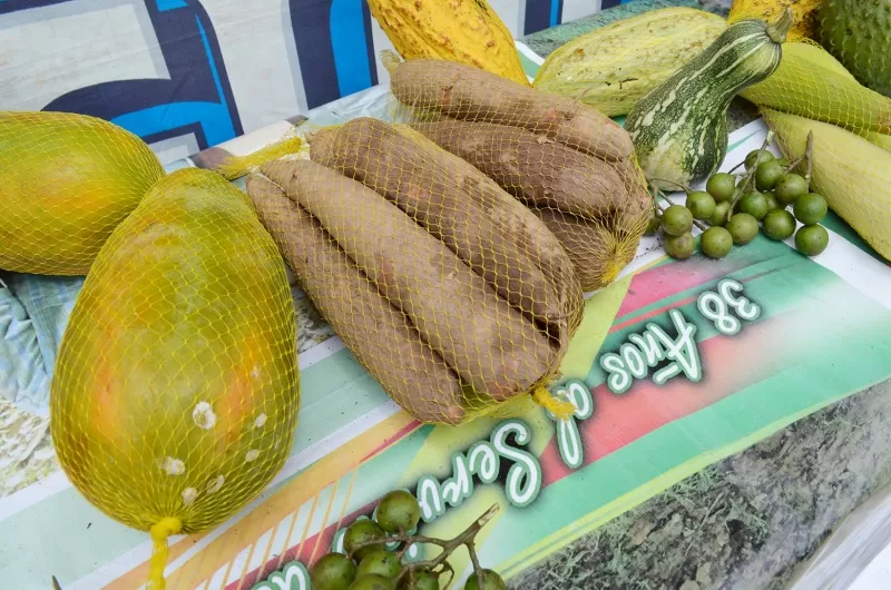 Frutas y verduras de Tame.